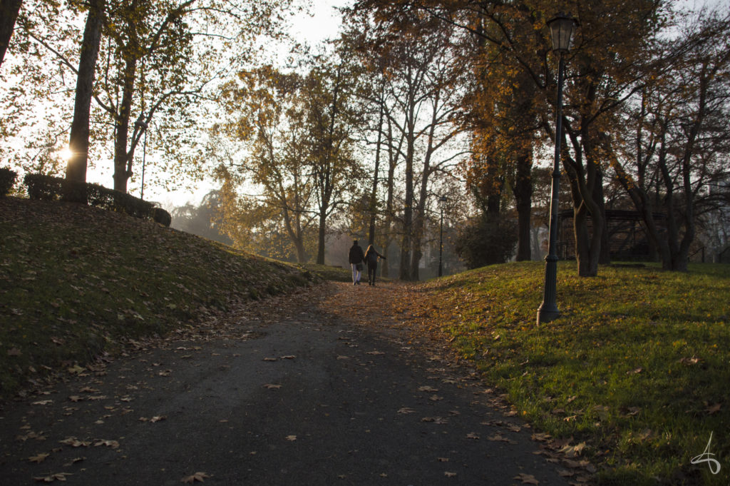 walking_through_the_orange